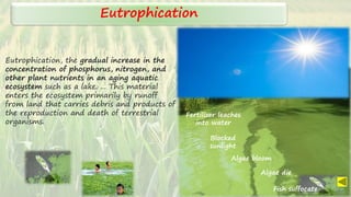 Eutrophication, the gradual increase in the
concentration of phosphorus, nitrogen, and
other plant nutrients in an aging aquatic
ecosystem such as a lake. ... This material
enters the ecosystem primarily by runoff
from land that carries debris and products of
the reproduction and death of terrestrial
organisms.
Eutrophication
Fertilizer leaches
into water
Blocked
sunlight
Algae bloom
Algae die
Fish suffocate
 