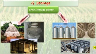G. Storage
Grain storage system
SARITA C
 