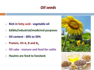 Oil seeds
• Rich in fatty acid - vegetable oil
• Edible/industrial/medicinal purposes
• Oil content - 20% to 50%
• Protein, Vit A, B and B2
• Oil cake - manure and feed for cattle
• Haulms are feed to livestock
 
