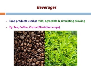 Beverages
• Crop products used as mild, agreeable & simulating drinking
• Eg. Tea, Coffee, Cocoa (Plantation crops)
 