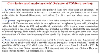 Classification based on photosynthesis’ (Reduction of CO2/Dark reaction):
1. C3 Plants: Photo respiration is high in these plants C3 Plants have lower water use efficiency. The
initial product of C assimilation in the three ‘C’ compounds. The enzyme involved in the primary
carboxylation is ribulose-1,-Biophospate carboxylose. E.g. Rice, soybeans, wheat, barley cottons,
potato.
2. C4 plants: The primary product of C fixation is four carbon compounds which may be malice acid or
ascorbic acid. The enzymes responsible for carboxylation are phosphoenol Pyruvic acid carboxylose
which has high affinity for CO2 and capable of assimilation CO2 event at lower concentration,
photorespiration is negligible. Photosynthetic rates are higher in C4 than C3 plants for the same amount
of stomatal opening. These are said to be drought resistant & they are able to grow better even under
moisture stress. C4 plants translate photosynthates rapidly. E.g. Sorghum, Maize, napier grass, sesame
etc.
3. Cam plants: (Cassulacean acid metabolism plants) the stomata open at night and large amount of
CO2 is fixed as a malice acid which is stored in vacuoles. During day stomata are closed. There is no
possibility of CO2 entry. CO2 which is stored as malice acid is broken down & released as CO2. In
these plants there is negligible transpiration. C4 & cam plant have high water use efficiency. These are
highly drought resistant. E.g. Pineapple, sisal & agave.
 