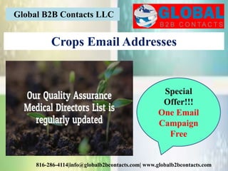 Global B2B Contacts LLC
816-286-4114|info@globalb2bcontacts.com| www.globalb2bcontacts.com
Crops Email Addresses
Special
Offer!!!
One Email
Campaign
Free
 