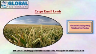 Crops Email Leads
816-286-4114|info@globalb2bcontacts.com| www.globalb2bcontacts.com
Free Email Campaign Along
With Email List Purchase
 