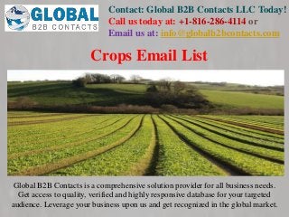 Contact: Global B2B Contacts LLC Today!
Call us today at: +1-816-286-4114 or
Email us at: info@globalb2bcontacts.com
Global B2B Contacts is a comprehensive solution provider for all business needs.
Get access to quality, verified and highly responsive database for your targeted
audience. Leverage your business upon us and get recognized in the global market.
Crops Email List
 