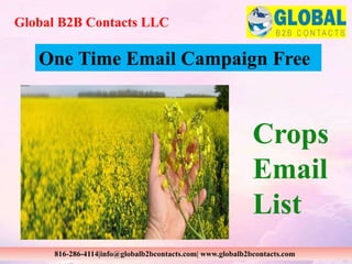 Global B2B Contacts LLC
816-286-4114|info@globalb2bcontacts.com| www.globalb2bcontacts.com
Crops
Email
List
One Time Email Campaign Free
 