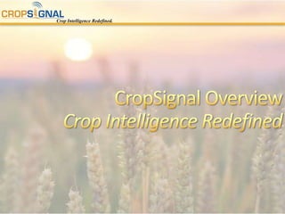 CropSignal OverviewCrop Intelligence Redefined 