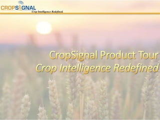 CropSignal Product TourCrop Intelligence Redefined 