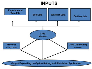 Crop simulation model | PDF | Agriculture | Industries