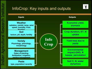 Crop simulation model | PPT