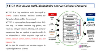 STICS (Simulateur mulTIdisciplinaire pour les Cultures Standard)
STICS is a crop simulation model developed by
INRAE (French National Research Institute for
Agriculture, Food, and the Environment)
STICS is a process based crop model with a daily
time step. The model simulates crop growth, soil
water and nitrogen balances. Climate, soil, and crop
management data are required to run the model. It
has adaptability to various vegetable crops such as
tomato, spinach, carrots, lettuce, beetroot, pea, and
rapeseed etc.
It is used for research and decision support in
vegetable production systems.
 