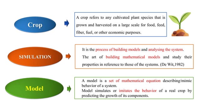 Crop_Simulation_model_in_Vegetable_Production.pptx
