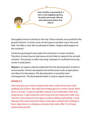 11
Soil supplies mineral nutrients to the crop. These nutrients are essential for the
growth of plants. In certain areas, farmers grow crop after crop in the same
field. The field is never left uncultivated or fallow. Imaginewhathappens to
the nutrients?
Continuous growing of crops makes the soil poorer in certain nutrients.
Therefore, farmers haveto add manure to the fields to replenish the soil with
nutrients. This process is called manuring. Improper or insufficientmanuring
results in weak plants.
Manure is an organic substanceobtained fromthe decomposition of plant or
animal wastes. Farmers dump plant and animal waste in pits at open places
and allow it to decompose. The decomposition is caused by some
microorganisms. Thedecomposed matter is used as organic manure.
Activity 1.2
Take moong or gramseeds and germinate them. Select three equal sized
seedlings out of these. Now take three empty glasses or similar vessels. Mark
them A, B and C. To glass A add little amount of soil mixed with a little cow
dung manure. In glass B put the same amount of soil mixed with a little urea.
Take the sameamount of soil in glass C without adding anything [Fig. 1.3(a)].
Now pour the same amount of water in each glass and plant the seedlings in
them. Keep them in a safeplace and water them daily. After 7 to 10 days
observetheir growth.
I saw a healthy crop growing in a
farm. In the neighbouring farm,
the plants were weak. Why do
some plants grow better than
others?
 