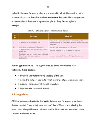 13
soil with nitrogen. Farmers are being encouraged to adopt this practice. In the
previous classes, you havelearnt about Rhizobium bacteria. Thesearepresent
in the nodules of the roots of leguminous plants. They fix atmospheric
nitrogen.
Table 1.1 : Differences between Fertiliser and Manure
S.
No.
Fertiliser MANURE
1. A fertiliser is an inorganic salt.
Manure is a natural substance obtained by the
decomposition of cattle dung, human waste and plant
residues.
2. A fertiliser is prepared in factories. Manure can be prepared in the fields.
3.
A fertiliser does not provide any humus
to the soil.
Manure provides a lot of humus to the soil.
4.
Fertilisers are very rich in plant nutrients
like nitrogen phosphorus and
potassium.
Manure is relatively less rich in plant nutrients.
Advantages of Manure : The organic manure is considered better than
fertilisers. This is because
 it enhances the water holding capacity of the soil.
 it makes the soilporous due to which exchange of gases becomes easy.
 it increases the number of friendly microbes.
 it improves the texture of the soil.
All living beings need water to live. Water is important for proper growth and
development of flowers, fruits and seeds of plants. Water is absorbed by the
plant roots. Along with water, minerals and fertilisers are also absorbed. Plants
contain nearly 90% water.
 