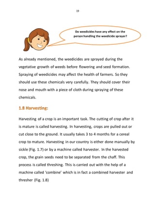 19
As already mentioned, the weedicides are sprayed during the
vegetative growth of weeds before flowering and seed formation.
Spraying of weedicides may affect the health of farmers. So they
should use these chemicals very carefully. They should cover their
nose and mouth with a piece of cloth during spraying of these
chemicals.
Harvesting of a crop is an important task. The cutting of crop after it
is mature is called harvesting. In harvesting, crops are pulled out or
cut close to the ground. It usually takes 3 to 4 months for a cereal
crop to mature. Harvesting in our country is either done manually by
sickle (Fig. 1.7) or by a machine called harvester. In the harvested
crop, the grain seeds need to be separated from the chaff. This
process is called threshing. This is carried out with the help of a
machine called ‘combine’ which is in fact a combined harvester and
thresher (Fig. 1.8)
Do weedicides have any effect on the
person handling the weedicide sprayer?
 