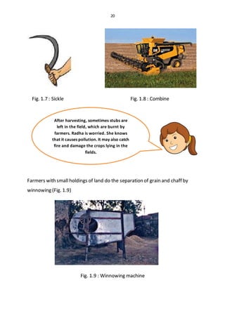 20
Fig. 1.7 : Sickle Fig. 1.8 : Combine
Farmers with small holdings of land do the separation of grain and chaff by
winnowing (Fig. 1.9)
Fig. 1.9 : Winnowing machine
After harvesting, sometimes stubs are
left in the field, which are burnt by
farmers. Radha is worried. She knows
that it causes pollution. It may also catch
fire and damage the crops lying in the
fields.
 