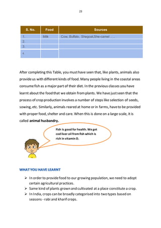 23
S. No. Food Sources
1. Milk Cow, Buffalo, Shegoat,She-camel . . .
2.
3.
4.
After completing this Table, you musthave seen that, like plants, animals also
provideus with different kinds of food. Many people living in the coastal areas
consumefish as a major part of their diet. In the previous classes you have
learnt about the food that we obtain fromplants. We have justseen that the
process of crop production involves a number of steps like selection of seeds,
sowing, etc. Similarly, animals reared at home or in farms, haveto be provided
with proper food, shelter and care. When this is done on a large scale, it is
called animal husbandry.
 In order to providefood to our growing population, we need to adopt
certain agricultural practices.
 Same kind of plants grown and cultivated at a place constitute a crop.
 In India, crops can be broadly categorised into two types based on
seasons - rabi and kharif crops.
Fish is good for health. We get
cod liver oil from fish which is
rich in vitamin D.
 