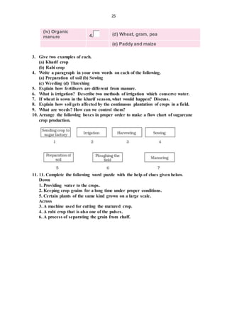 25
(iv) Organic
manure 4. (d) Wheat, gram, pea
(e) Paddy and maize
3. Give two examples of each.
(a) Kharif crop
(b) Rabi crop
4. Write a paragraph in your own words on each of the following.
(a) Preparation of soil (b) Sowing
(c) Weeding (d) Threshing
5. Explain how fertilisers are different from manure.
6. What is irrigation? Describe two methods of irrigation which conserve water.
7. If wheat is sown in the kharif season, what would happen? Discuss.
8. Explain how soil gets affected by the continuous plantation of crops in a field.
9. What are weeds? How can we control them?
10. Arrange the following boxes in proper order to make a flow chart of sugarcane
crop production.
11. 11. Complete the following word puzzle with the help of clues given below.
Down
1. Providing water to the crops.
2. Keeping crop grains for a long time under proper conditions.
5. Certain plants of the same kind grown on a large scale.
Across
3. A machine used for cutting the matured crop.
4. A rabi crop that is also one of the pulses.
6. A process of separating the grain from chaff.
 