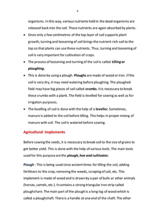 6
organisms. In this way, various nutrients held in the dead organisms are
released back into the soil. These nutrients are again absorbed by plants.
 Since only a few centimetres of the top layer of soil supports plant
growth, turning and loosening of soil brings the nutrient-rich soil to the
top so that plants can usethese nutrients. Thus, turning and loosening of
soil is very important for cultivation of crops.
 The process of loosening and turning of the soilis called tilling or
ploughing.
 This is done by using a plough. Ploughs are made of wood or iron. If the
soil is very dry, it may need watering beforeploughing. The ploughed
field may have big pieces of soil called crumbs. Itis necessary to break
these crumbs with a plank. The field is levelled for sowing as well as for
irrigation purposes.
 The levelling of soil is done with the help of a leveller. Sometimes,
manure is added to the soil before tilling. This helps in proper mixing of
manure with soil. The soilis watered before sowing.
Agricultural Implements
Before sowing the seeds, it is necessary to break soil to the size of grains to
get better yield. This is done with the help of various tools. The main tools
used for this purposearethe plough, hoe and cultivator.
Plough : This is being used since ancient times for tilling the soil, adding
fertilisers to the crop, removing the weeds, scraping of soil, etc. This
implement is made of wood and is drawn by a pair of bulls or other animals
(horses, camels, etc.). Itcontains a strong triangular iron strip called
ploughshare. The main part of the plough is a long log of wood which is
called a ploughshaft. Thereis a handle at one end of the shaft. The other
 