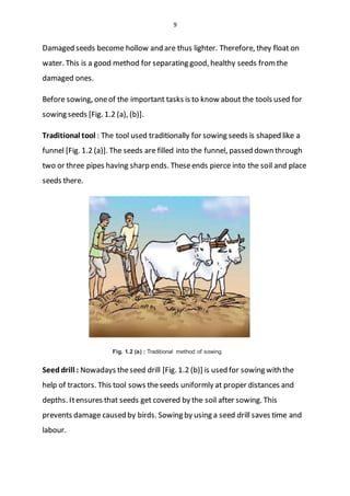 9
Damaged seeds become hollow and are thus lighter. Therefore, they float on
water. This is a good method for separating good, healthy seeds fromthe
damaged ones.
Before sowing, oneof the important tasks is to know about the tools used for
sowing seeds [Fig. 1.2 (a), (b)].
Traditional tool : The tool used traditionally for sowing seeds is shaped like a
funnel [Fig. 1.2 (a)]. The seeds are filled into the funnel, passed down through
two or three pipes having sharp ends. Theseends pierce into the soil and place
seeds there.
Fig. 1.2 (a) : Traditional method of sowing
Seeddrill : Nowadays theseed drill [Fig. 1.2 (b)] is used for sowing with the
help of tractors. This tool sows theseeds uniformly at proper distances and
depths. Itensures that seeds get covered by the soil after sowing. This
prevents damage caused by birds. Sowing by using a seed drill saves time and
labour.
 