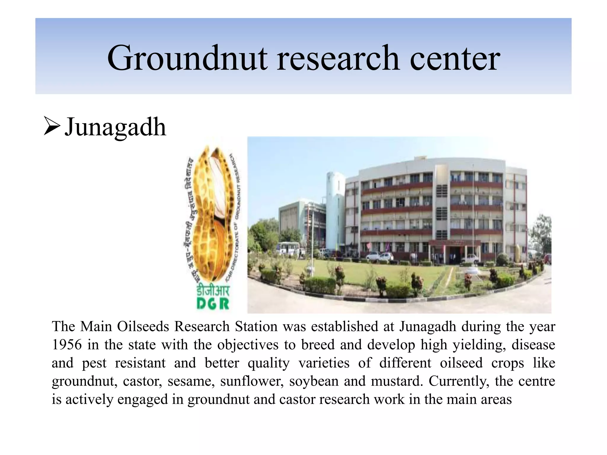 Crops of gujarat PPT