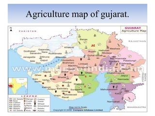 Agriculture Land Map Gujarat Crops Of Gujarat