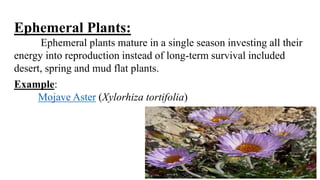 Crops on the basis of drought | PPTX