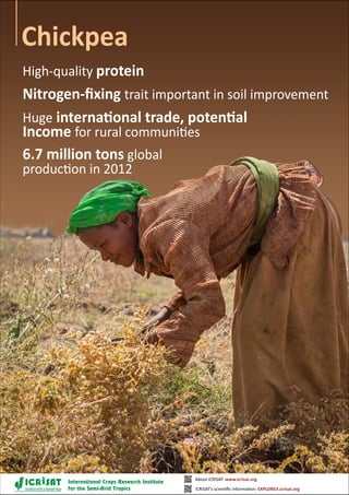 High-quality protein
Nitrogen-fixing trait important in soil improvement
Huge international trade, potential
Income for rural communities
6.7 million tons global
production in 2012
Chickpea
Sciencewithahumanface
About ICRISAT: www.icrisat.org
ICRISAT’s scientific information: EXPLOREit.icrisat.org
 