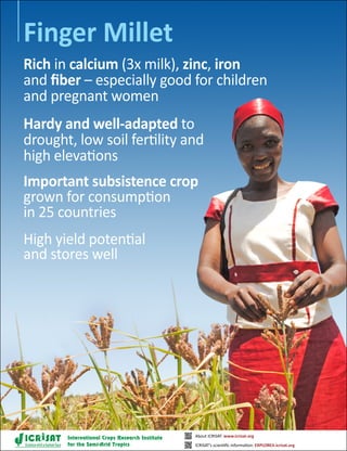 Rich in calcium (3x milk), zinc, iron
and fiber – especially good for children
and pregnant women
Finger Millet
Hardy and well-adapted to
drought, low soil fertility and
high elevations
Important subsistence crop
grown for consumption
in 25 countries
High yield potential
and stores well
Sciencewithahumanface
About ICRISAT: www.icrisat.org
ICRISAT’s scientific information: EXPLOREit.icrisat.org
 