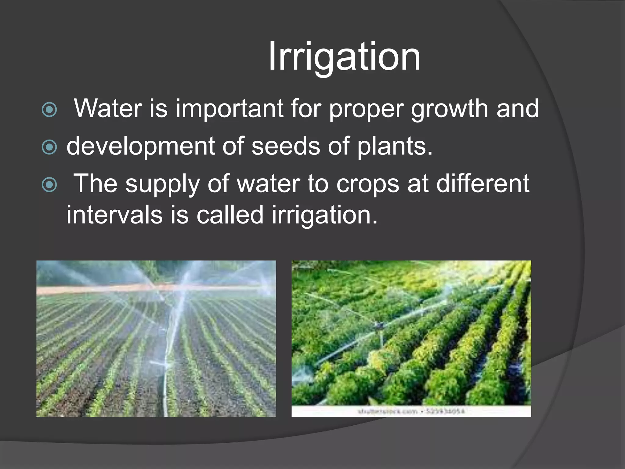 Crops production and management PPT