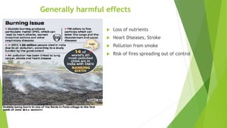 Generally harmful effects
 Loss of nutrients
 Heart Diseases, Stroke
 Pollution from smoke
 Risk of fires spreading out of control
 