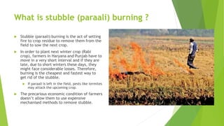 What is stubble (paraali) burning ?
 Stubble (paraali) burning is the act of setting
fire to crop residue to remove them from the
field to sow the next crop.
 In order to plant next winter crop (Rabi
crop), farmers in Haryana and Punjab have to
move in a very short interval and if they are
late, due to short winters these days, they
might face considerable losses. Therefore,
burning is the cheapest and fastest way to
get rid of the stubble.
 If paraali is left in the field, pests like termites
may attack the upcoming crop.
 The precarious economic condition of farmers
doesn’t allow them to use expensive
mechanised methods to remove stubble.
 