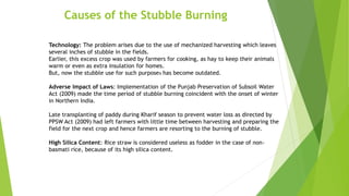 Causes of the Stubble Burning
Technology: The problem arises due to the use of mechanized harvesting which leaves
several inches of stubble in the fields.
Earlier, this excess crop was used by farmers for cooking, as hay to keep their animals
warm or even as extra insulation for homes.
But, now the stubble use for such purposes has become outdated.
Adverse Impact of Laws: Implementation of the Punjab Preservation of Subsoil Water
Act (2009) made the time period of stubble burning coincident with the onset of winter
in Northern India.
Late transplanting of paddy during Kharif season to prevent water loss as directed by
PPSW Act (2009) had left farmers with little time between harvesting and preparing the
field for the next crop and hence farmers are resorting to the burning of stubble.
High Silica Content: Rice straw is considered useless as fodder in the case of non-
basmati rice, because of its high silica content.
 
