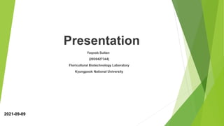 Presentation
Yaqoob Sultan
(2020427344)
Floricultural Biotechnology Laboratory
Kyungpook National University
2021-09-09
 