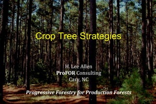 Crop Tree Strategies


               H. Lee Allen
            ProFOR Consulting
                Cary, NC

Progressive Forestry for Production Forests
 