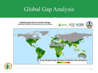 Global Gap Analysis
15
 