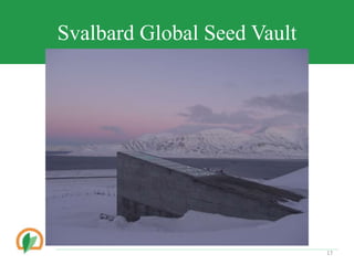 Svalbard Global Seed Vault
17
 