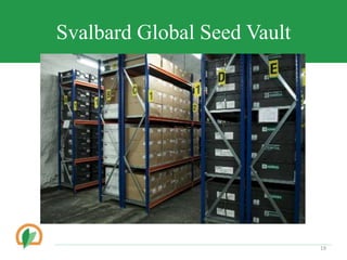 Svalbard Global Seed Vault
19
 