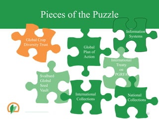 22
Pieces of the Puzzle
Global Crop
Diversity Trust
Global
Plan of
Action
Information
Systems
Svalbard
Global
Seed
Vault
International
Collections
International
Treaty
on
PGRFA
National
Collections
 