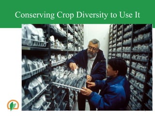 Conserving Crop Diversity to Use It
5
 