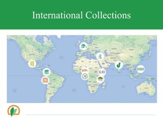 International Collections
 