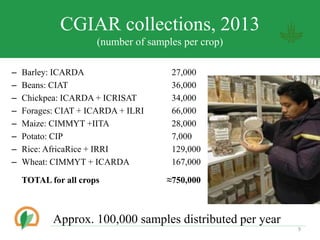 CGIAR collections, 2013
(number of samples per crop)
C Barley: ICARDA 27,000
C Beans: CIAT 36,000
C Chickpea: ICARDA + ICRISAT 34,000
C Forages: CIAT + ICARDA + ILRI 66,000
C Maize: CIMMYT +IITA 28,000
C Potato: CIP 7,000
C Rice: AfricaRice + IRRI 129,000
C Wheat: CIMMYT + ICARDA 167,000
TOTAL for all crops 750,000
Approx. 100,000 samples distributed per year
9
 