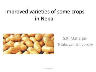 Improved varieties of some crops
in Nepal
S.R. Maharjan
Tribhuvan University
S.R. Maharjan
 