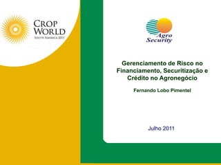 Gerenciamento de Risco no Financiamento, Securitização e Crédito no Agronegócio Fernando Lobo Pimentel  Julho 2011 