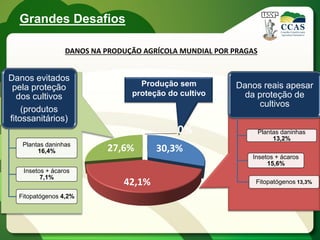Grandes Desafios

                 DANOS NA PRODUÇÃO AGRÍCOLA MUNDIAL POR PRAGAS


Danos evitados
 pela proteção                    Produção sem          Danos reais apesar
  dos cultivos                  proteção do cultivo       da proteção de
                                                             cultivos
    (produtos
fitossanitários)
                                           0%                    Plantas daninhas
                                                                      13,2%
   Plantas daninhas
        16,4%             27,6%       30,3%
                                                            Insetos + ácaros
                                                                 15,6%
   Insetos + ácaros
         7,1%
                              42,1%                          Fitopatógenos 13,3%

  Fitopatógenos 4,2%
 