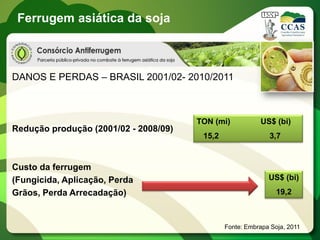 Ferrugem asiática da soja



DANOS E PERDAS – BRASIL 2001/02- 2010/2011



                                       TON (mi)           US$ (bi)
Redução produção (2001/02 - 2008/09)
                                        15,2                 3,7


Custo da ferrugem
(Fungicida, Aplicação, Perda                                 US$ (bi)
Grãos, Perda Arrecadação)                                       19,2



                                               Fonte: Embrapa Soja, 2011
 