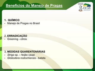 Benefícios do Manejo de Pragas


1. QUÍMICO
- Manejo de Pragas no Brasil



2. ERRADICAÇÃO
- Greening - citros



3. MEDIDAS QUARENTENÁRIAS
- Striga sp. – feijão caupi
- Globodera rostochiensis - batata
 