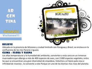 Relieve Ubicada en la provincia de Misiones y ciudad limítrofe con Paraguay y Brasil, se enclava en la confluencia de los ríos Paraná e Iguazú. Clima – FLORA Y FAUNA Las altas temperaturas y la humedad del ambiente, convierten a esta zona en un inmenso invernadero que alberga a más de 400 especies de aves, casi 2.000 especies vegetales, entre las que se encuentran una gran diversidad de orquídeas, helechos y el típico palo rosa e infinidad de insectos , lo convierte a este Parque en uno de los biomas mas ricos del planeta. 
