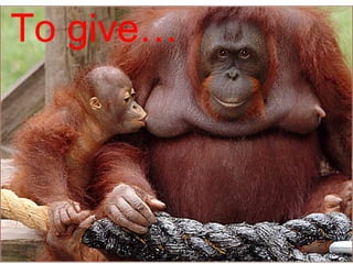 To give…
 