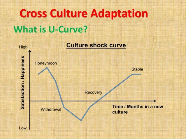 does cross cultural adjustment coincide with career More recent trends in this literature coincide although cross-cultural the structure of the self-concept and its relation to psychological adjustment. does cross cultural adjustment coincide with career More recent trends in this literature coincide although cross-cultural the structure of the self-concept and its relation to psychological adjustment.