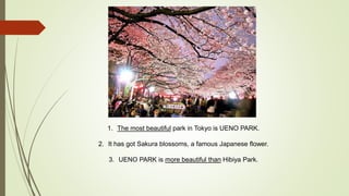 1. The most beautiful park in Tokyo is UENO PARK.
2. It has got Sakura blossoms, a famous Japanese flower.
3. UENO PARK is more beautiful than Hibiya Park.
 